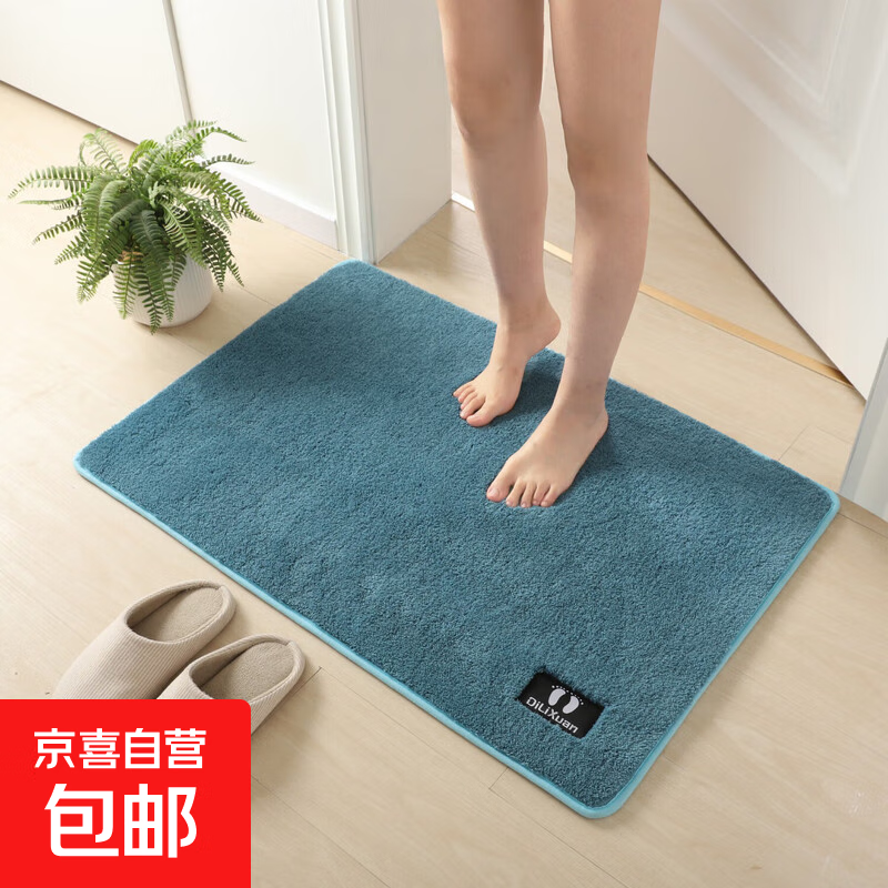 日韩式地垫加厚淋浴室卫生间吸水防滑地垫脚垫入户门垫子玄关地毯 MLR—青蓝 40x60cm