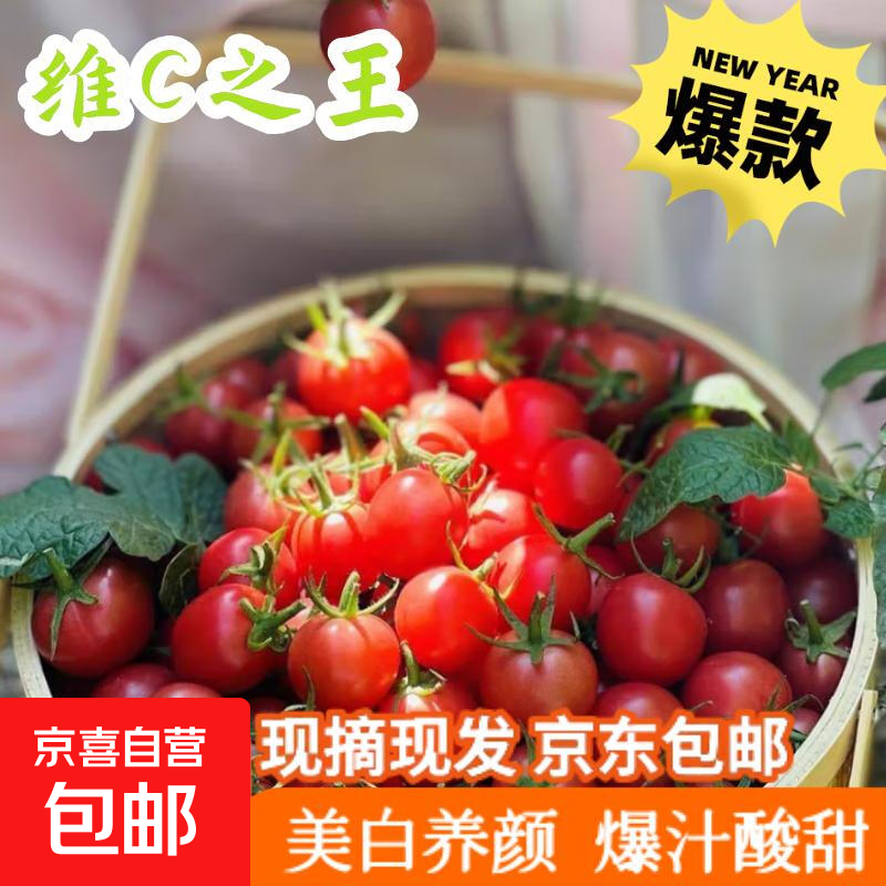 冰糖水果小番茄高山圣女果小西红柿早餐减肥减脂生鲜新鲜蔬菜 高山圣女果 300g 净重尝鲜装