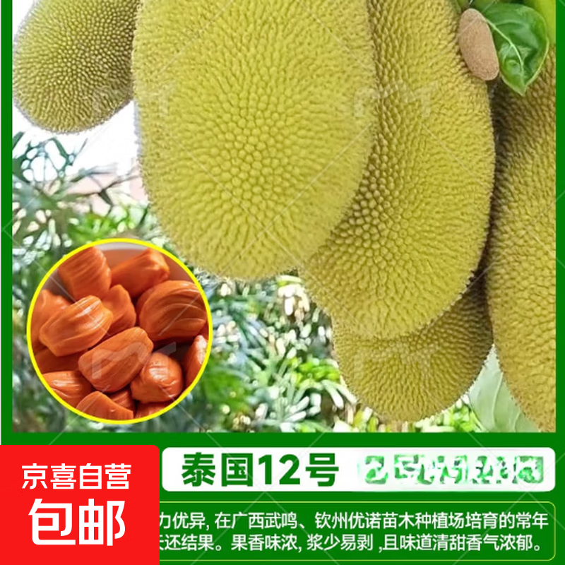 ̩��12�ź��Ⲥ�������� �ͺ��ļ�ˮ���� ������ͥԺ���� 90-1�� 53.9Ԫ