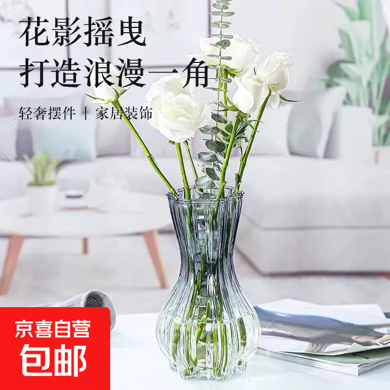 玻璃花瓶透明插花水养百合鲜花水培绿萝绿植干花小号客厅摆件 15蒜头花瓶1个 透明色