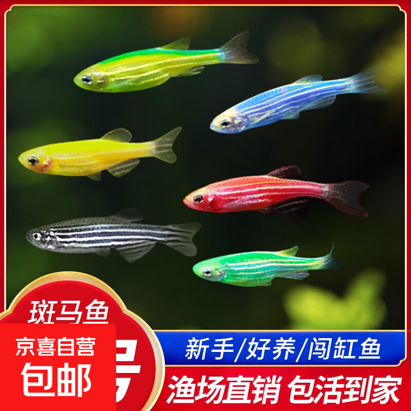 ŵƿ䵭ˮ̵ֺСȴͽ ʰ101 5.51Ԫ