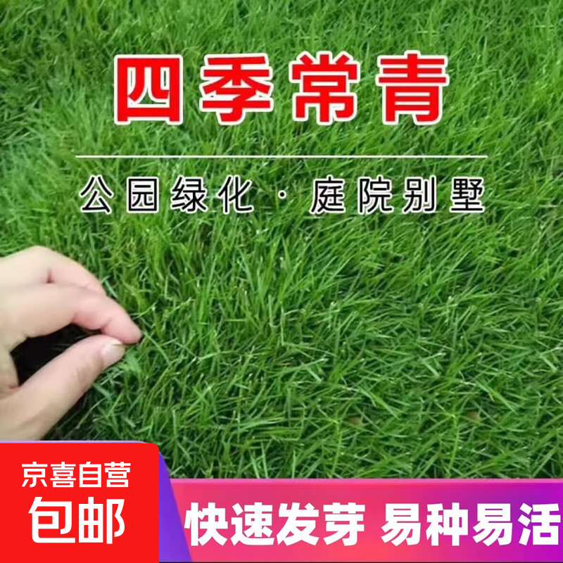 ���ڲ�ƺ���Ӳ��Ѱ����ļ���ͥԺ�̻��ļ����໤�����޼������� �ļ������Ӱ��� 500�ˣ���ʵ�ݣ� 5.42Ԫ