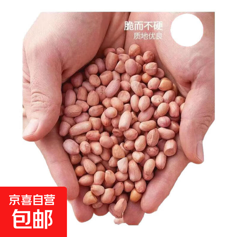 粉皮花生 花生米 带壳花生生花生农家自产熬粥煲汤五谷杂粮 小颗粒花生米450g