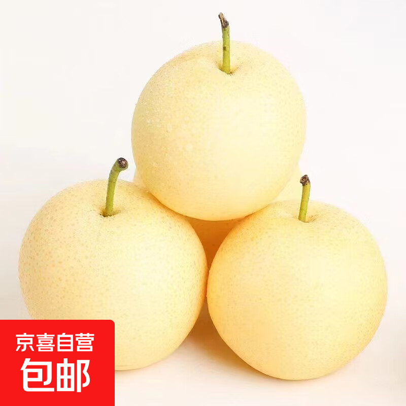 正宗河北皇冠梨：产地直发现摘现发，脆甜多汁1.5斤装仅7.1元！