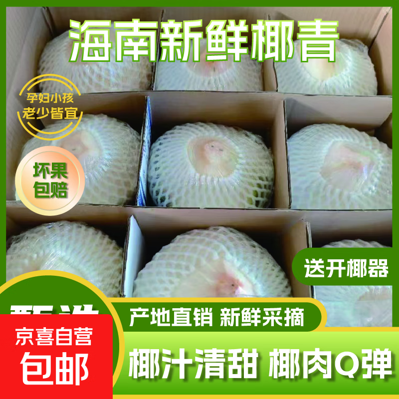 海南文昌去皮椰青大果特产热带孕妇补羊水水果当季现摘椰子蛋椰汁 椰青2-2.5斤(4个）带箱约10斤