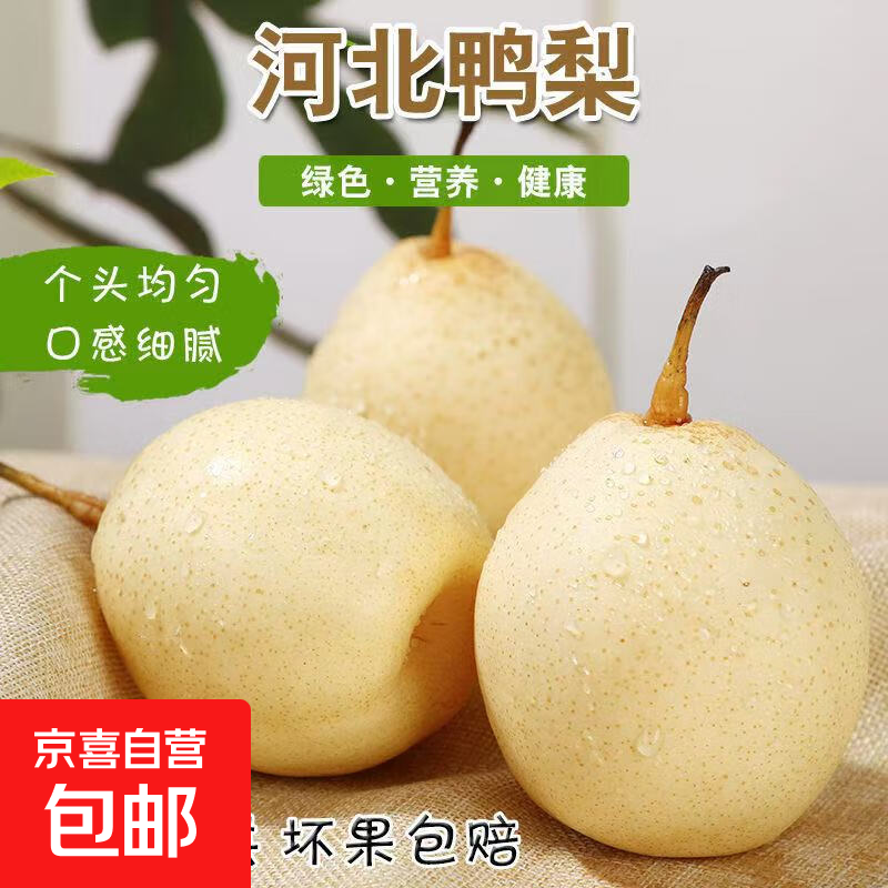 赵州水晶鸭梨河北鸭梨威县鸭梨12 鸭梨带箱2斤净重1.6-1.8斤