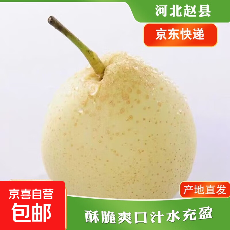 京喜加赵州水晶鸭梨新鲜水果产地直发【六】单果180g起 带箱2斤净重1.6-1.8斤