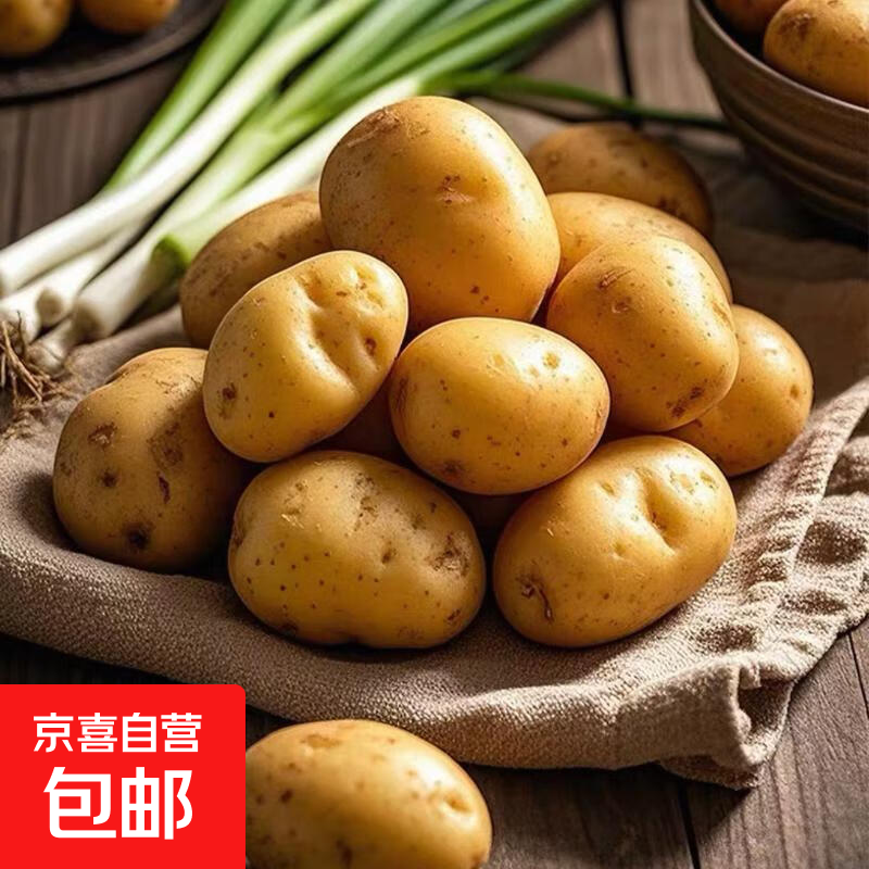 东坡嘴25年河南新鲜小土豆黄心粉糯面马铃薯洋芋蔬菜 新鲜土豆2斤小果