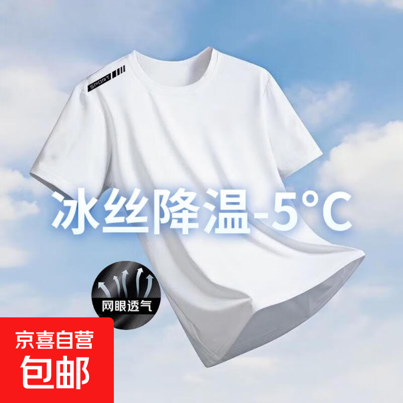 【网眼透气清爽】夏季印花短袖男运动速干男士t恤男冰丝健身衣服 纯白【单杆款】 3XL 【建议145-160斤】