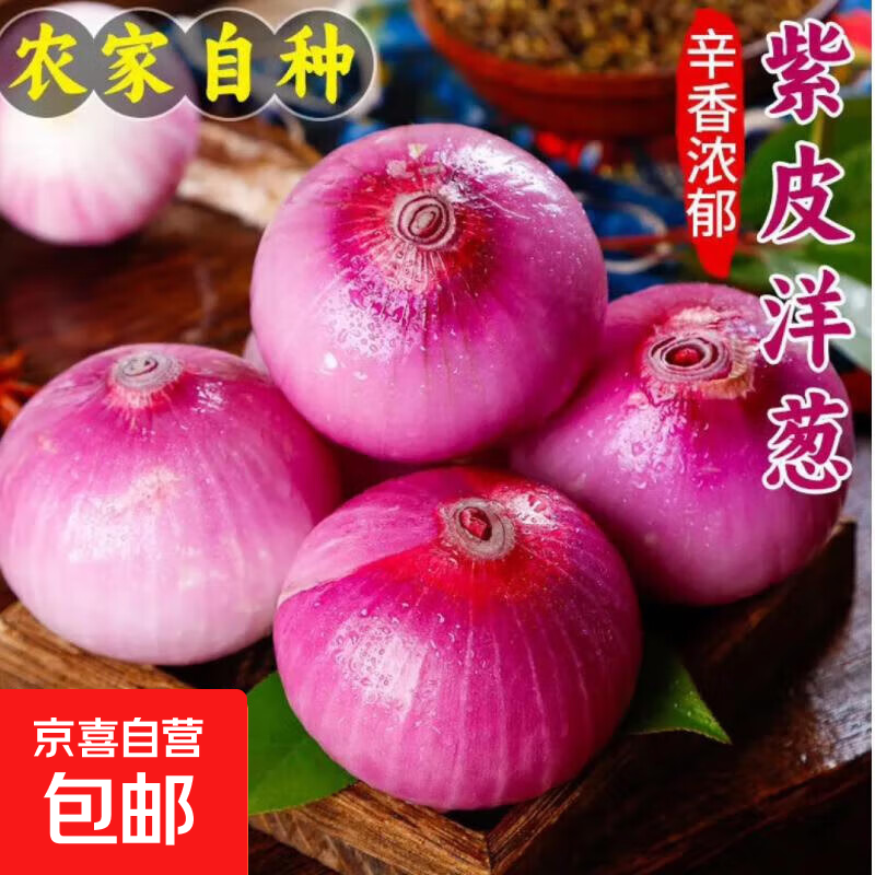 新鲜红洋葱 5斤单果150g起