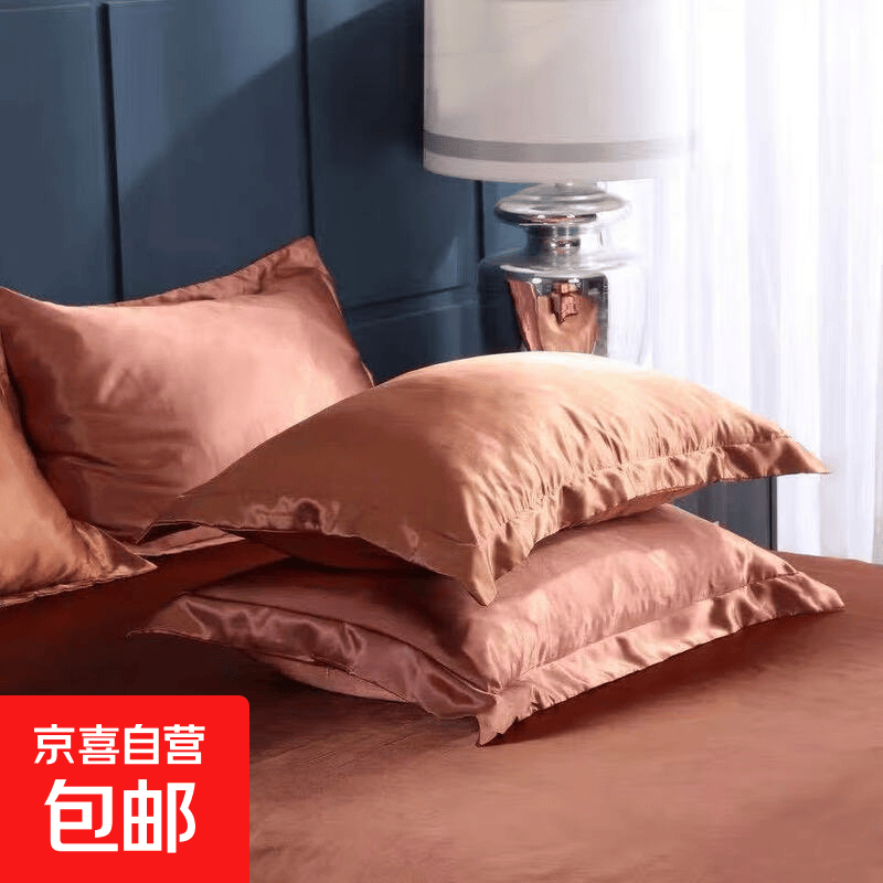 夏季双面水洗冰丝纯色凉感枕头套可机洗可水洗亲肤 咖啡色 单只 48*74cm