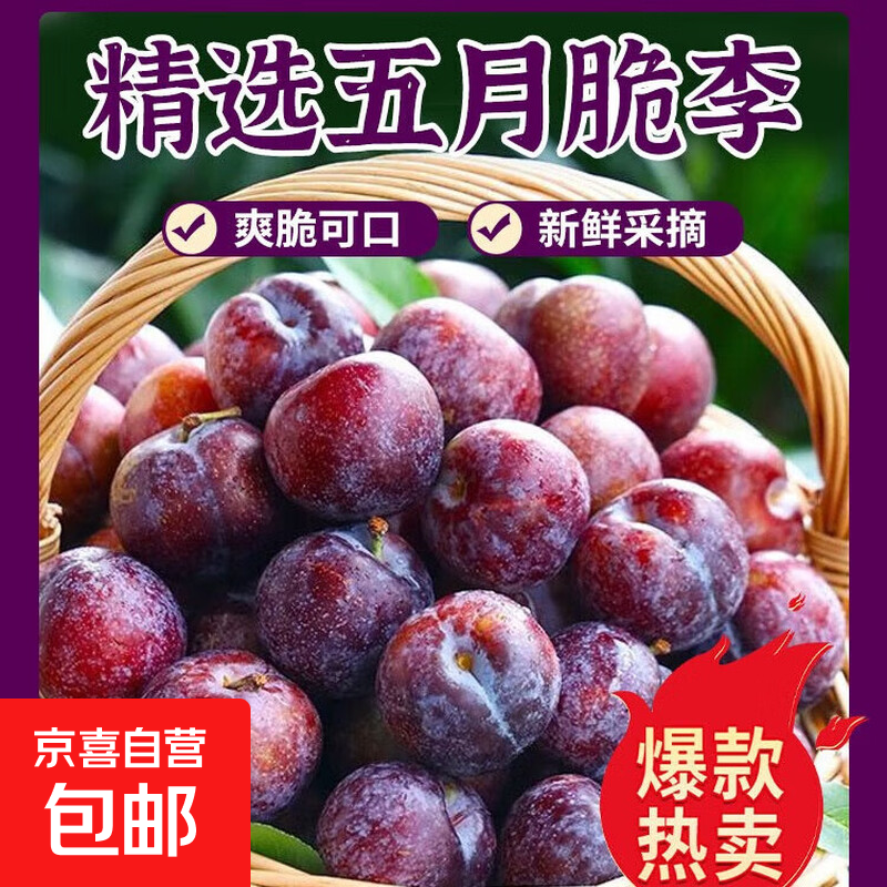 四川五月脆李新鲜当季 半斤小果（10g-20g）