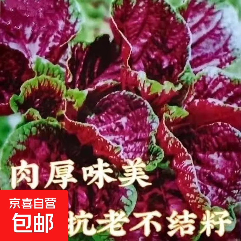 ���Ȳ�����ԲҶ�����߲����Ӻ�������̨ͥԺ�������߲����Ӵ�ȫ ���Ȳ�����ԲҶ����Լ1500��1��