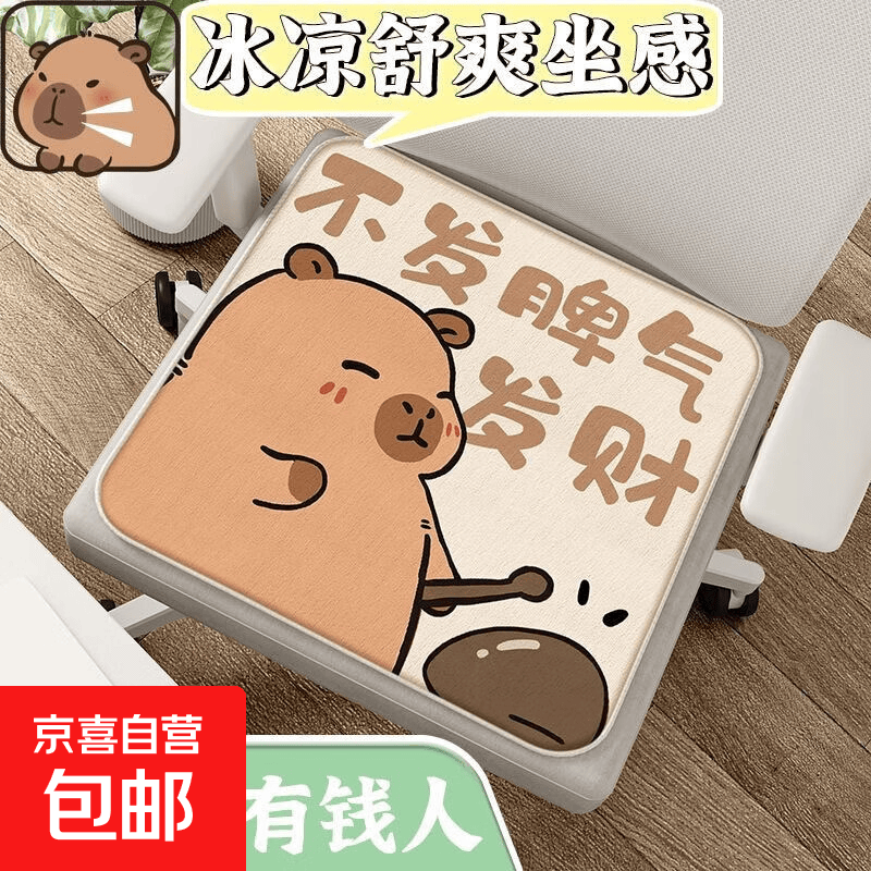 Brangdy卡皮巴拉四季通用坐垫办公室久坐清凉凉垫卡通防滑凉席 卡皮巴拉C 40*40cm