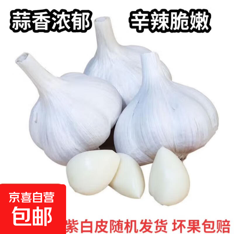 京喜自营大蒜头紫白皮大蒜京东买菜生鲜调料即食凉拌大蒜 【优选】净重 1斤 单果3.5-5cm