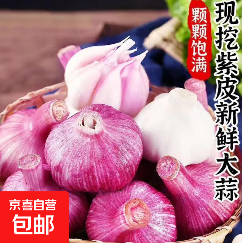 京东紫白皮新鲜湿蒜大蒜现挖蔬菜调料烧烤食材火锅食材 新鲜湿蒜1斤装 500g 果径【4-5cm]