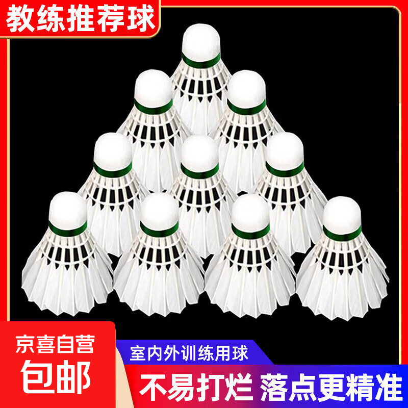 羽毛球正品白羽耐打白色比赛防风训练用球室内室外专业 【家庭款】白羽无标-12只装 1筒
