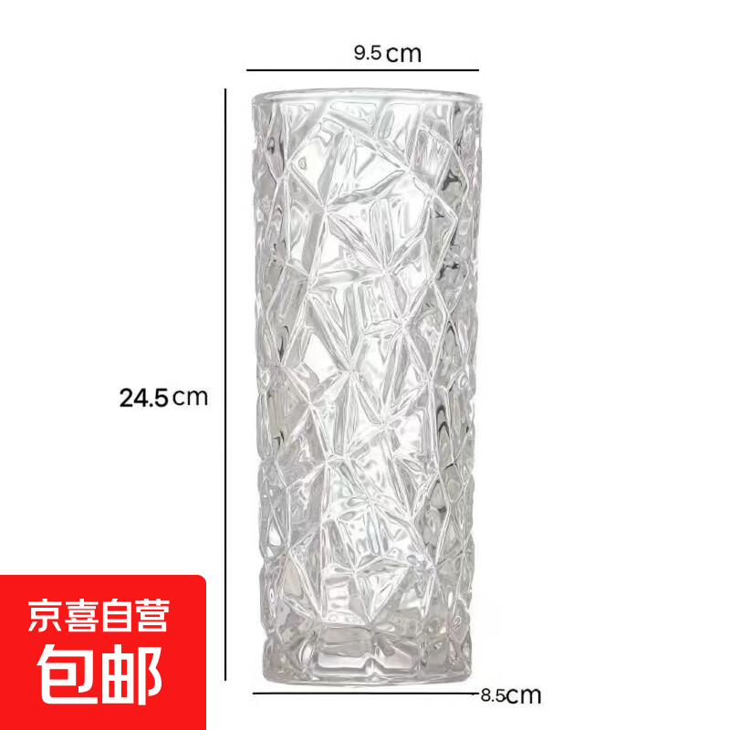 轻奢玻璃花瓶透明水养鲜花富贵竹ins风插花器皿客厅桌面装饰摆件 大号透明冰纹 24.5cm