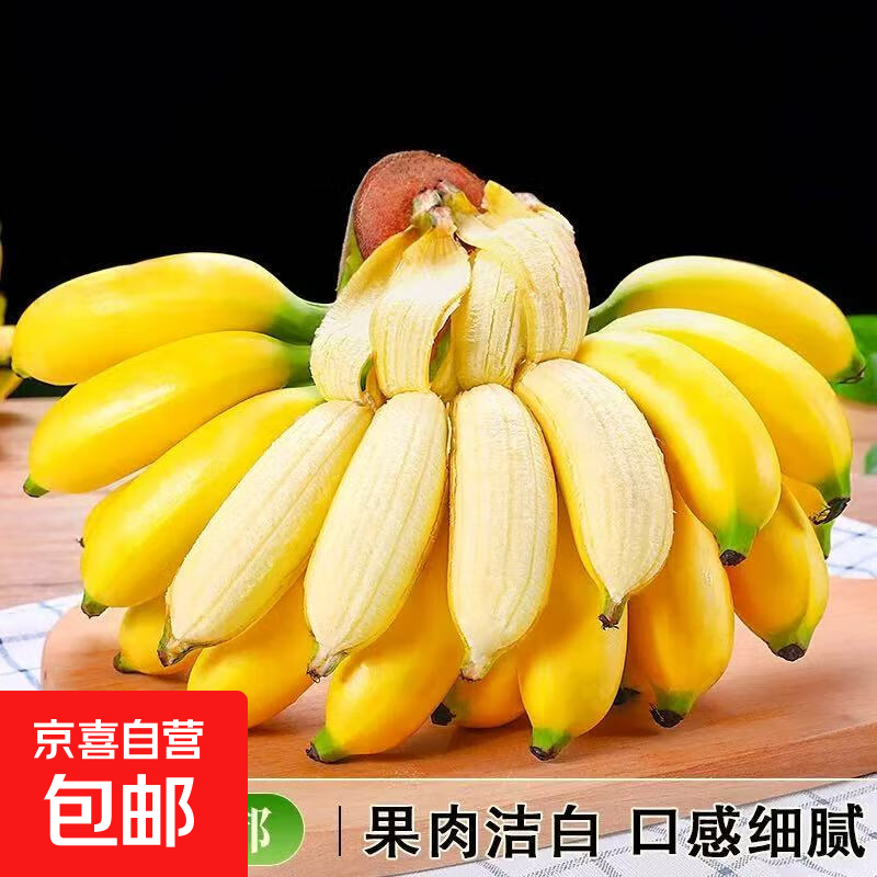 京喜加新鲜现摘正宗小米蕉皇帝蕉小香蕉软糯可口水果宝宝蕉 4斤 带箱