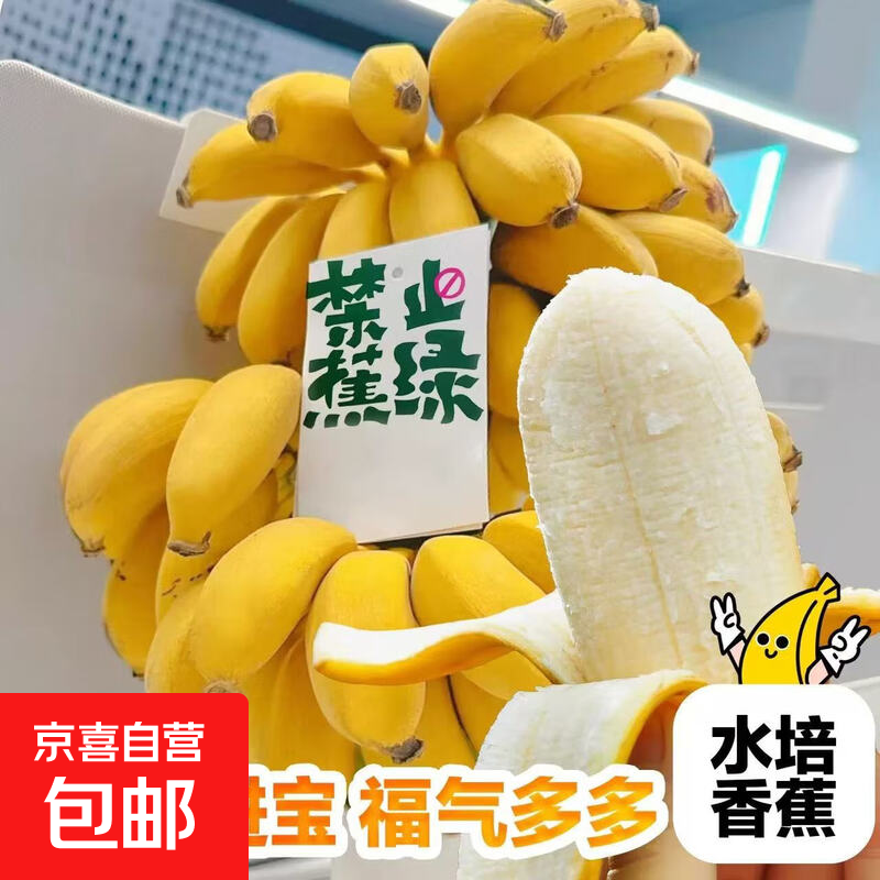 禁止蕉绿可食用绿植工位水养绿植宝宝蕉自然熟苹果蕉小米蕉 【带杆】3~ 4斤 带箱 赠送吊牌