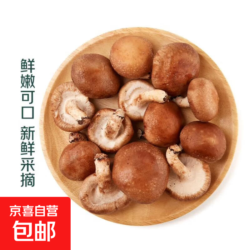 新鲜香菇蘑菇肉厚味美烧烤火锅煲汤食材真便宜超市同款 尝鲜1斤