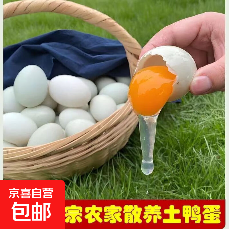 珂迩正宗现捡笨鸭蛋土鸭蛋新鲜鸭蛋农家散养青壳鸭蛋生鸭蛋野生鸭 70-80g 20枚