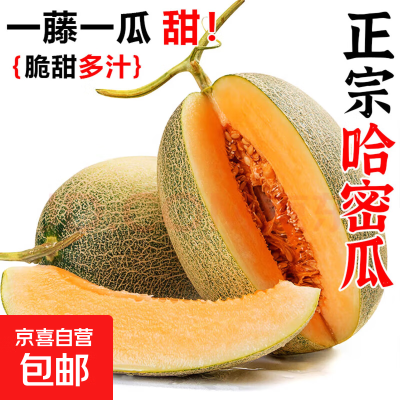 正宗哈密瓜西州蜜大果甜瓜新鲜采摘蜜瓜脆甜多汁整箱 哈密瓜1.5-2斤