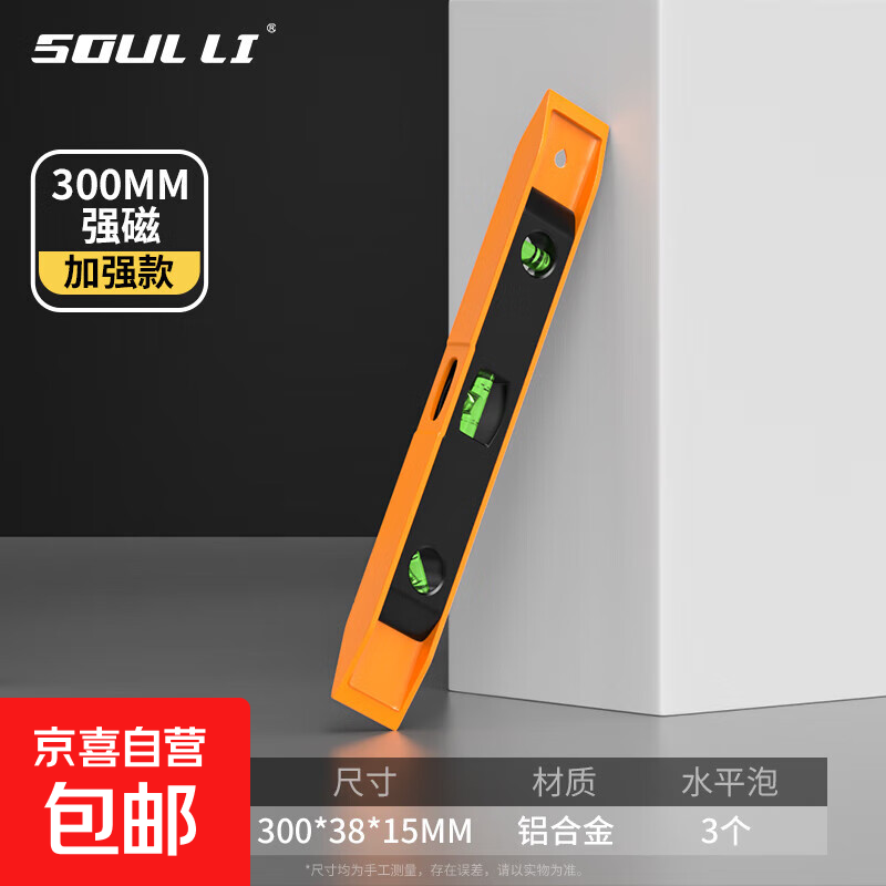 水平尺高精度平水尺靠尺迷小型铝合金实心防摔平衡仪工具强磁家用 迷你款强磁300mm