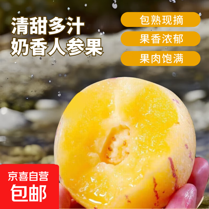 云南石林人参果野生小金蛋人生果新鲜水果圆果【轻微花皮】 带箱1斤 单果30g起