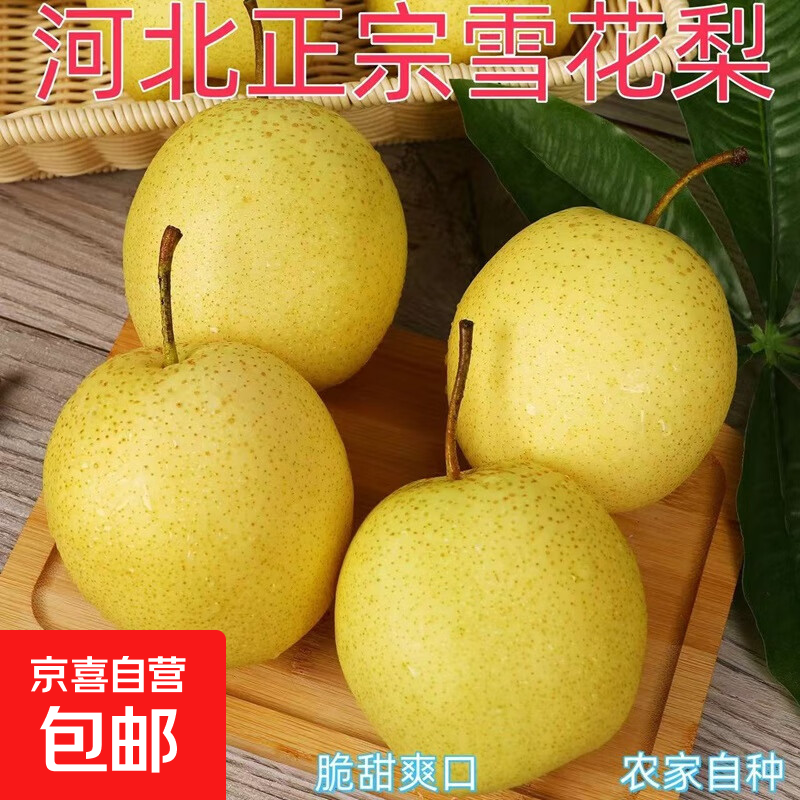 京喜加赵县雪花梨河北雪花梨肃宁雪花梨【适合煲汤】15 雪花梨带箱4斤净重3.5斤