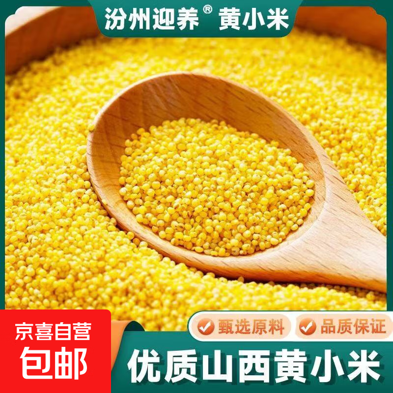 山西黄小米 农家黄小米饭煮粥油小米新米月子米五谷杂粮 山西黄小米450g