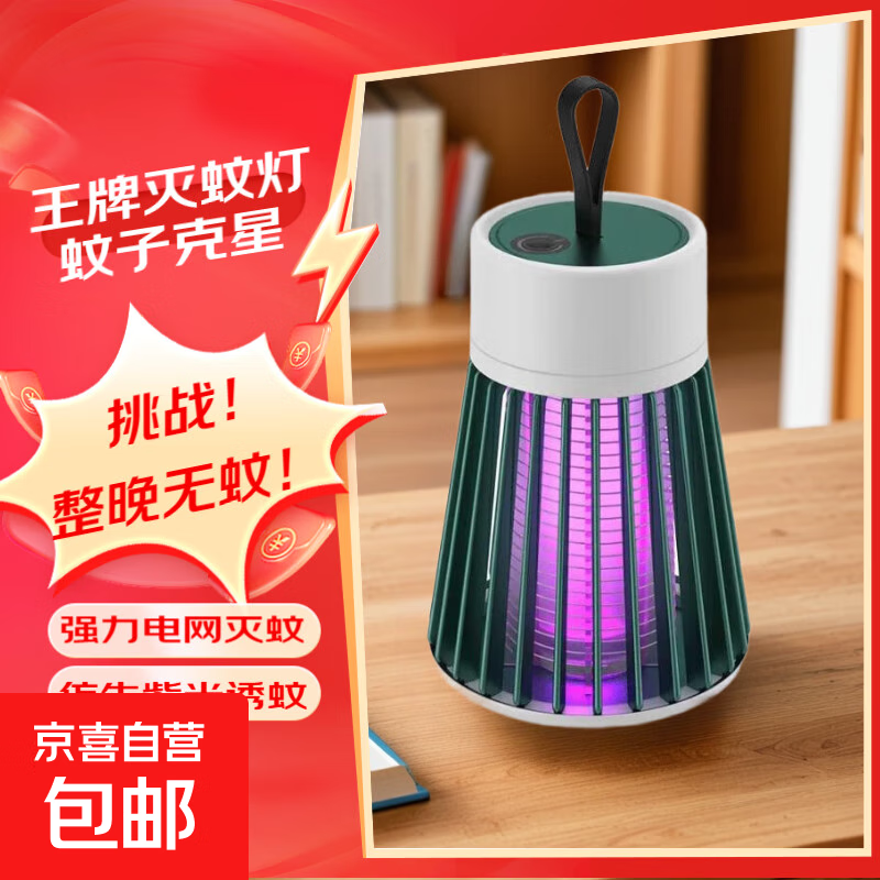 灭蚊灯驱蚊灭蚊神器灭蚊器驱蚊器苍蝇神器电蚊拍灭蝇器灭蚊器 豪华插电款+电击式