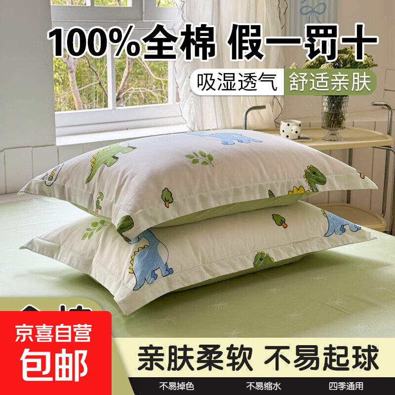 100%棉全棉枕头套一对装家用宿舍枕套单个枕芯内胆套a类亲肤纯棉 枕套小恐龙 【100%全棉假一罚十】 单只 48cm*74cm
