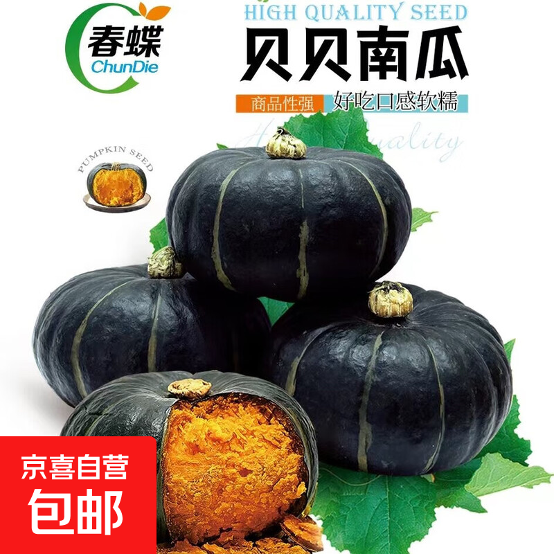 春蝶蔬菜种子播盆栽阳台庭院四季奶油小白菜生菜玉米南瓜易种籽孑 贝贝南瓜【原装1包 约10粒】 一包(试种)