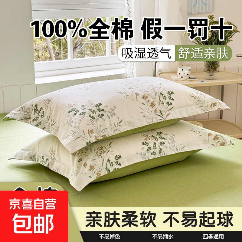 100%棉全棉枕头套一对装家用宿舍枕套单个枕芯内胆套a类亲肤纯棉 枕套清新绿 【100%全棉假一罚十】 单只 48cm*74cm