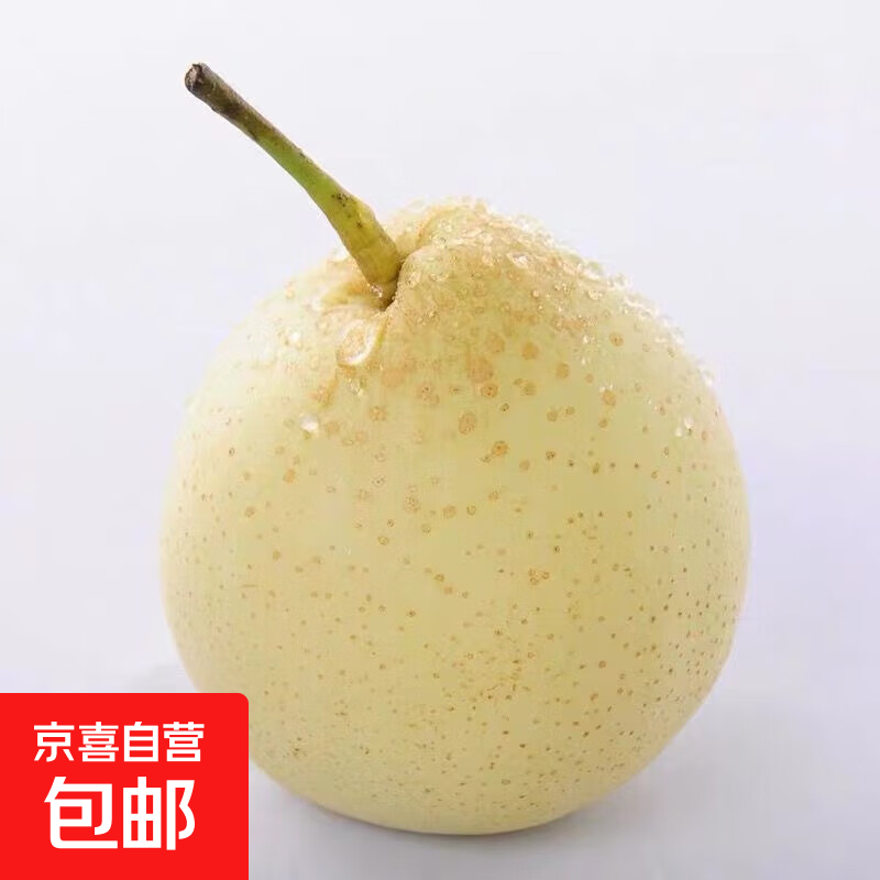 赵州水晶鸭梨新鲜水果产地直发【五】单果180g 带箱2斤鸭梨（净重1.6-1.8斤）