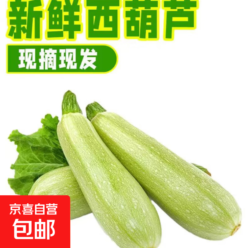 新鲜西葫芦角瓜，仅9.99元！