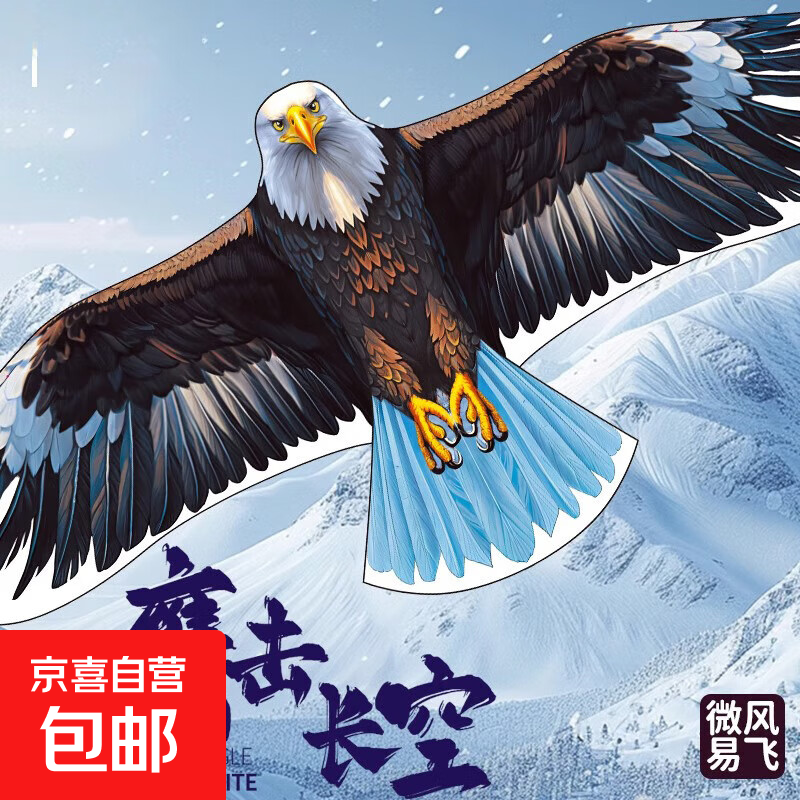 老鹰风筝大人专用儿童微风易飞网红潍坊成人大型新款卡通高档风筝 1.2米白老鹰风筝+100米线板