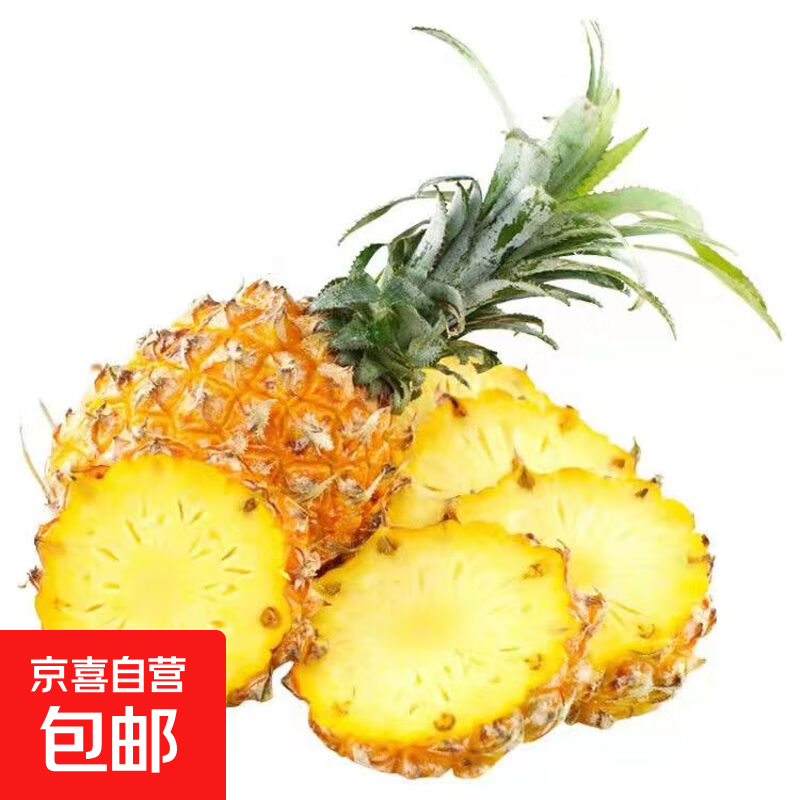 广东徐闻菠萝香水菠萝产地直发  1粒装 单果650g+