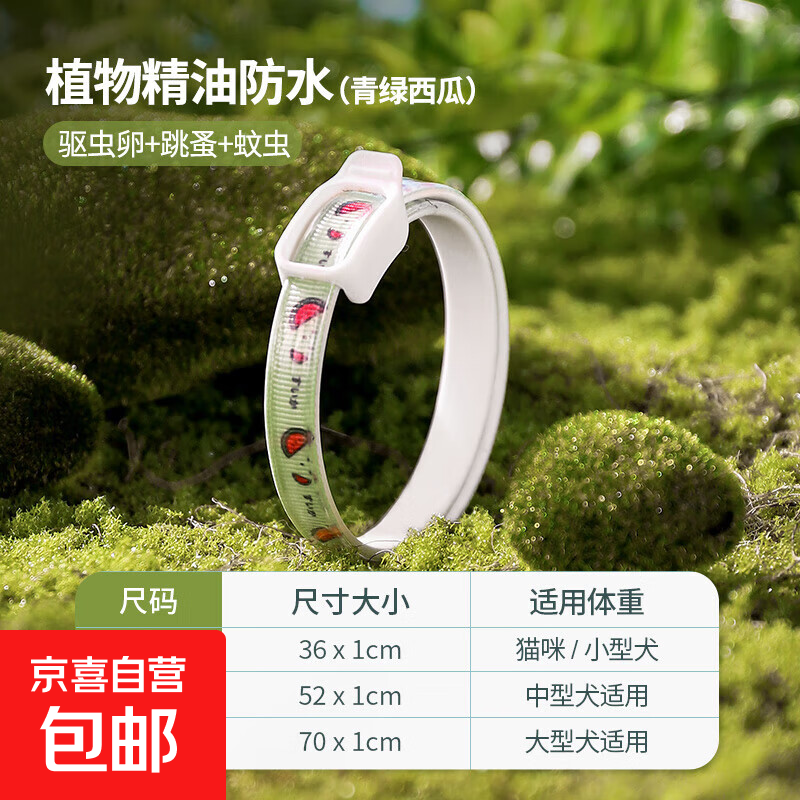 Ȧèȥ龱ȦȥʭèҩȦﲱȦ ˬϡЧػ180졿 M