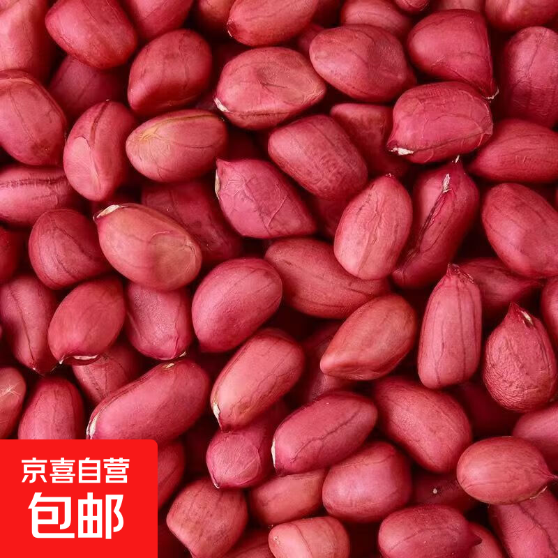 红皮花生米 干扁小颗粒 花生仁去壳新货小粒生花生 【外卖专享】小颗粒红花生米900g