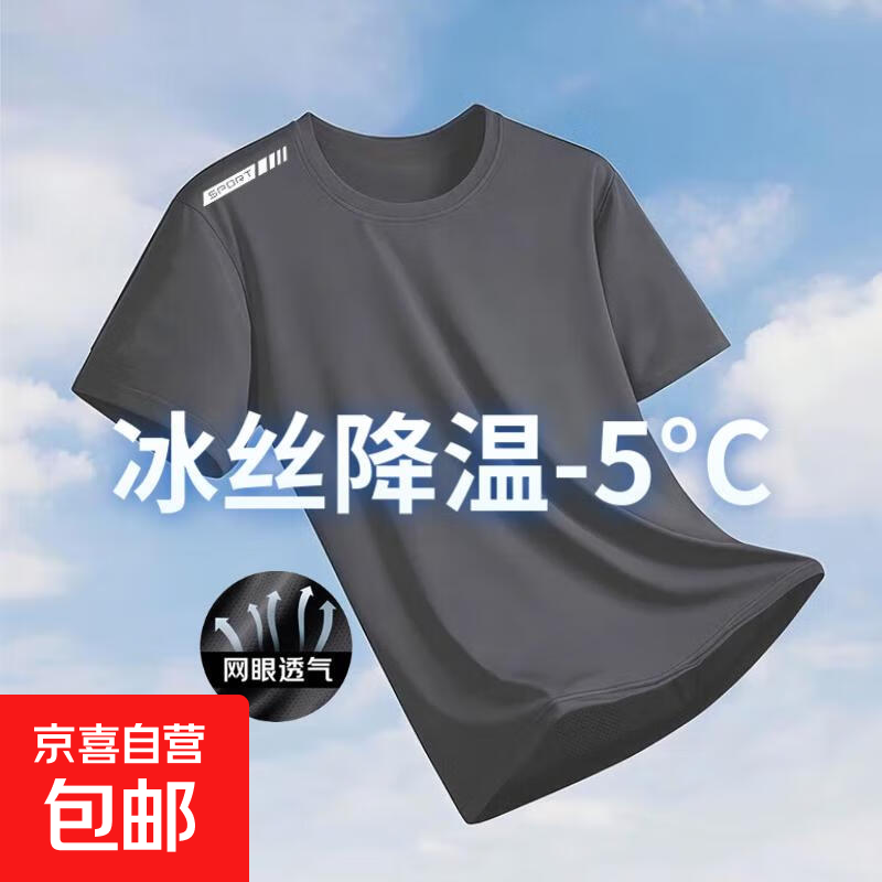 【网眼透气清爽】夏季印花短袖男运动速干男士t恤男冰丝健身衣服 纯灰【单杆款】 XL 【建议115-130斤】
