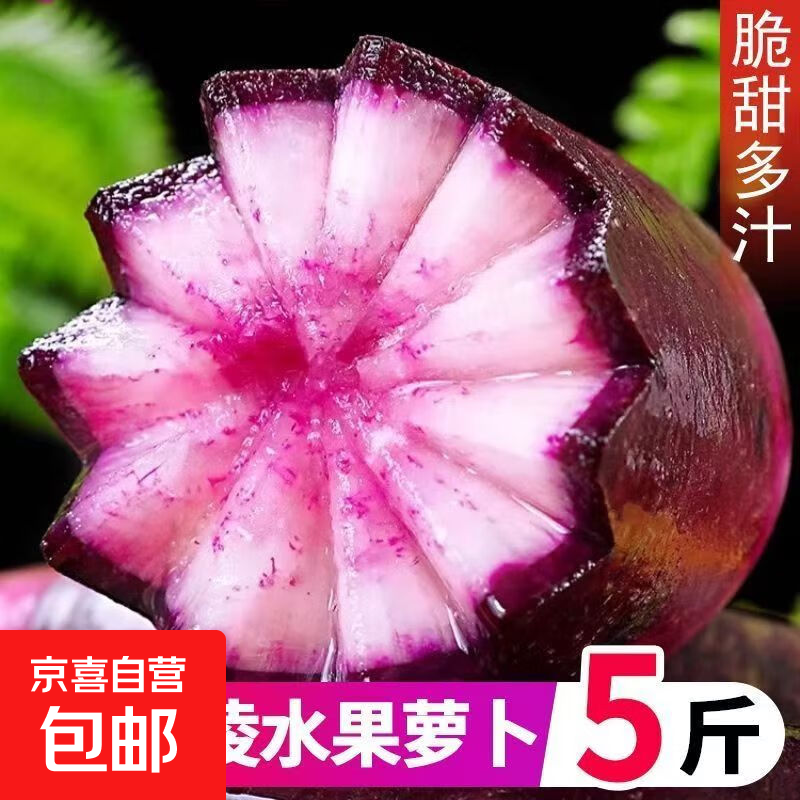 山东新鲜水果冰淇淋萝卜网红直播间凉拌轻食早餐超市品质 水果冰淇淋萝卜5斤 含箱