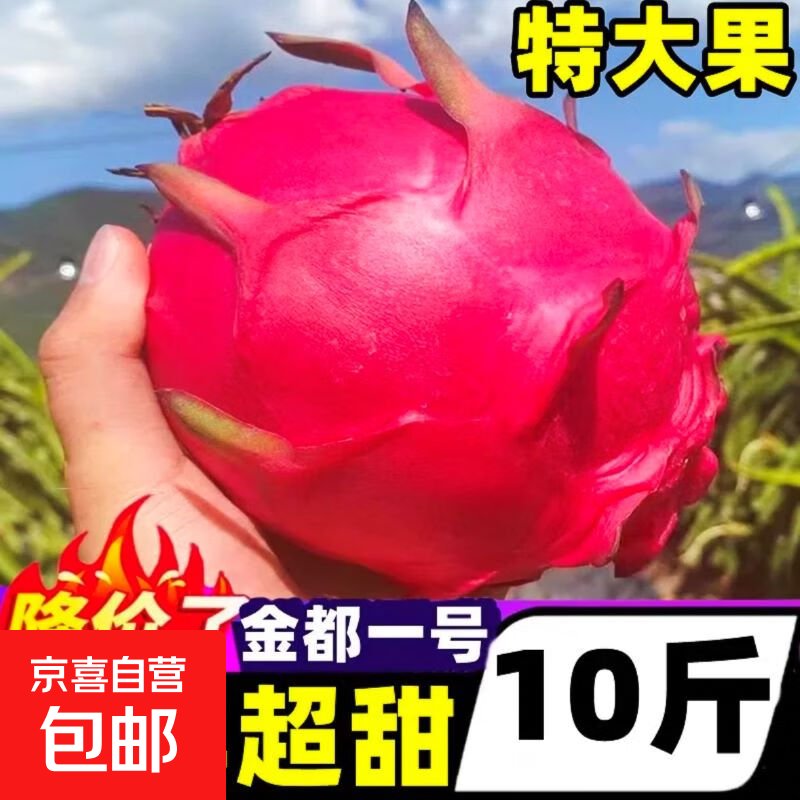 西双版纳红心火龙果 新鲜水果树熟当季现摘 大红火龙果特价 4个装 单果200-300g