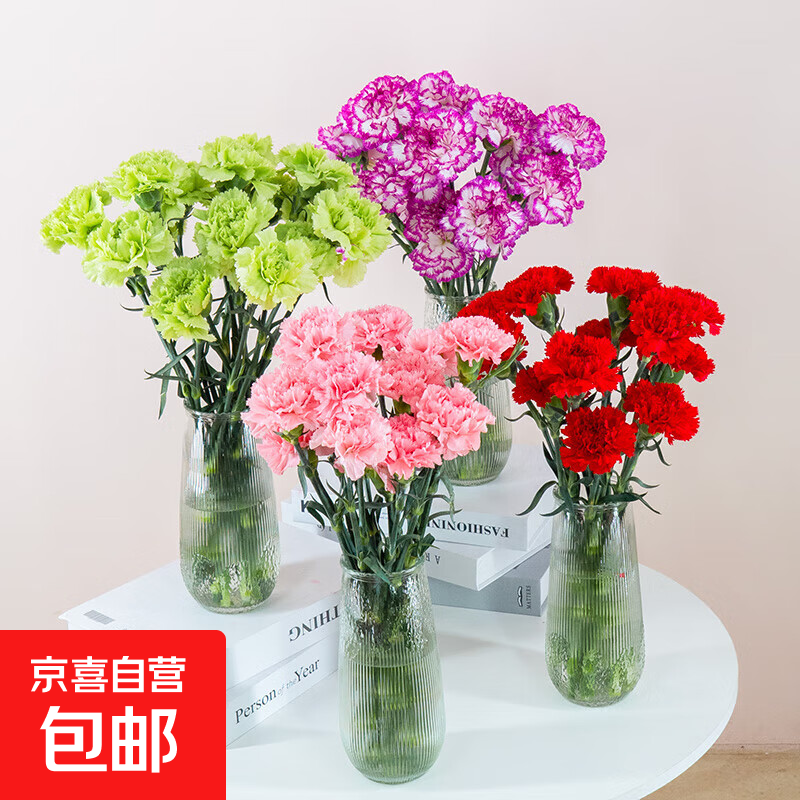 康乃馨鲜切花云南鲜花直发家用水养插花花束7 随机单色康乃馨10枝