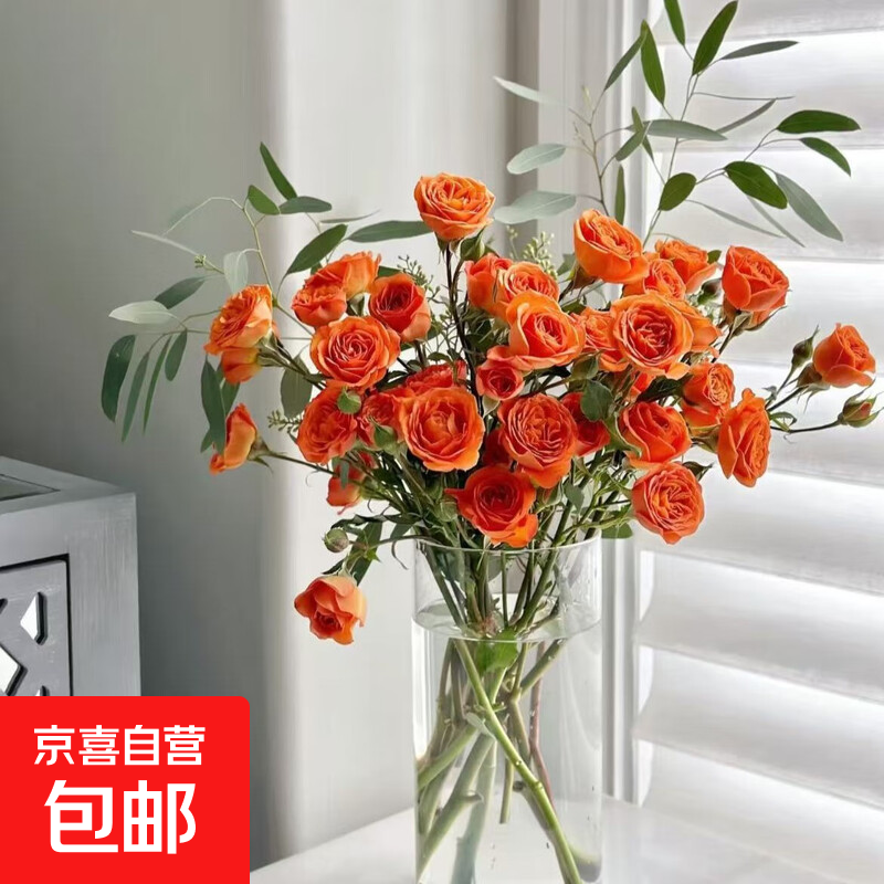【多头玫瑰花】泡泡鲜花橙色芭比鲜切花基地直发礼物混搭花束 多头玫瑰-橙色芭比10枝