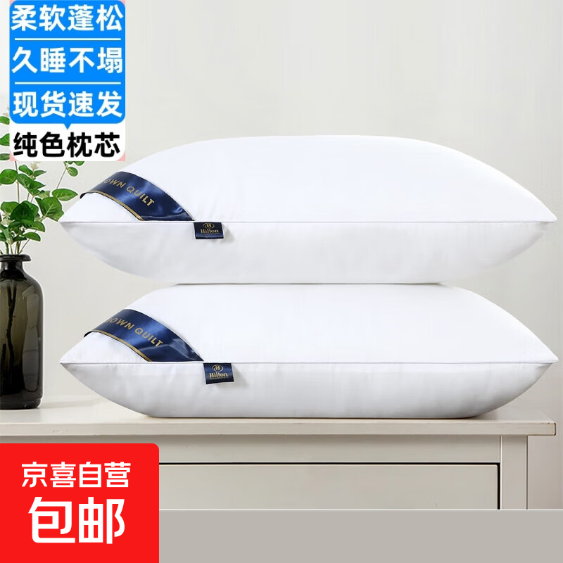 酒店枕头枕芯一对装助眠护颈椎五星级酒店羽丝绒宿舍午睡家用枕头 单边白色 (低枕)重约600克 （48*74cm)一对装