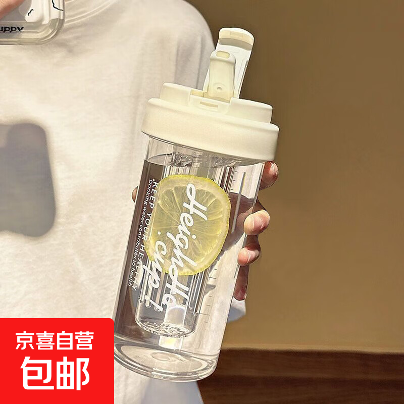 【京东物流】夏季便携水杯高颜值运动吸管水壶带茶仓耐高温学生女 便携茶漏吸管杯白色 500ml 1个
