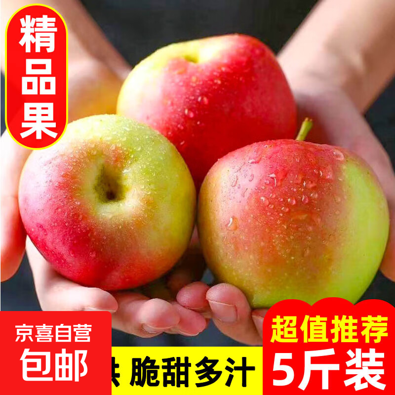 京喜加2025头茬现摘嘎啦青苹果美八脆甜爽口冰糖心苹果丑苹果整箱 带箱3斤（果经65mm+）