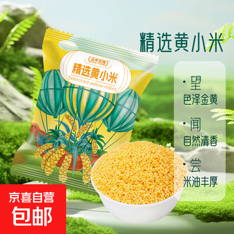 东北黄小米 月子米油小米 五谷杂粮粗粮早餐粥米 精选黄小米500g*1